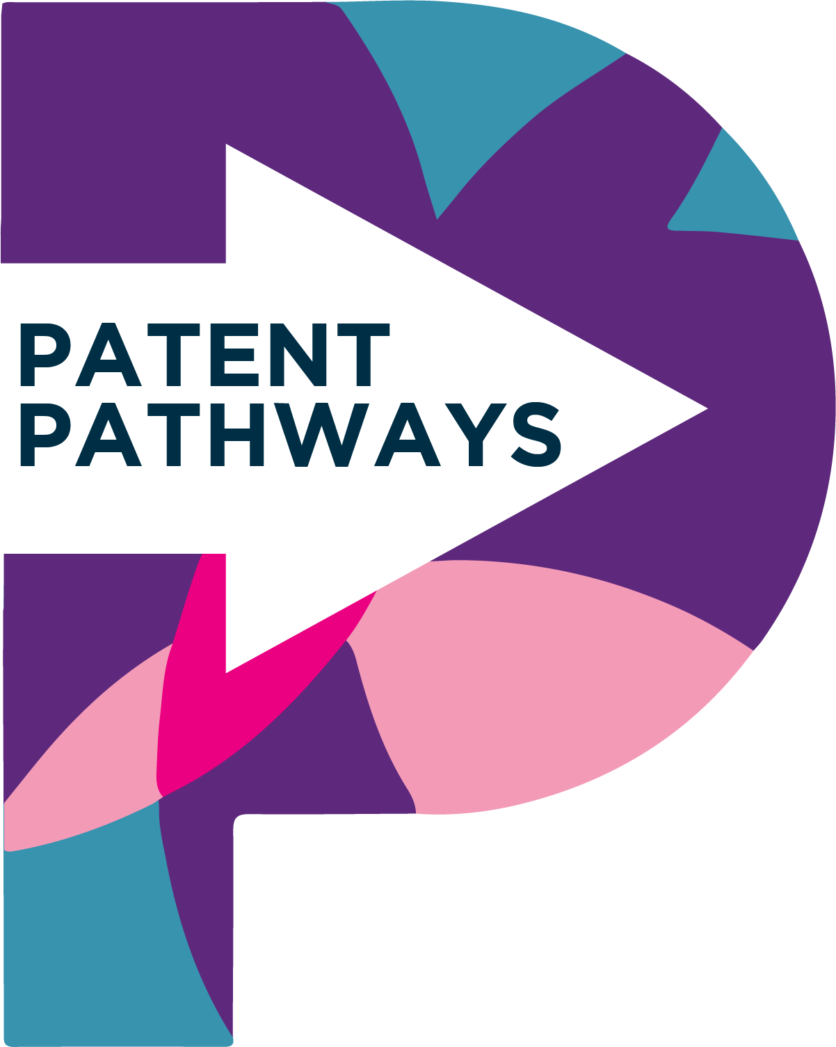 Patent-Pathways-NB-purple-11.png